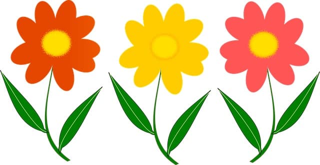 Muttertag Top5 Geschenke Bräuche Blumen
